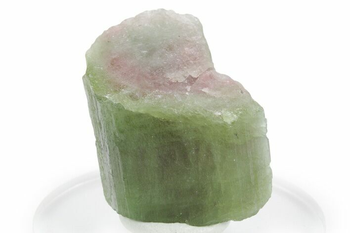 Bicolor Elbaite Watermelon Tourmaline - Afghanistan #354933